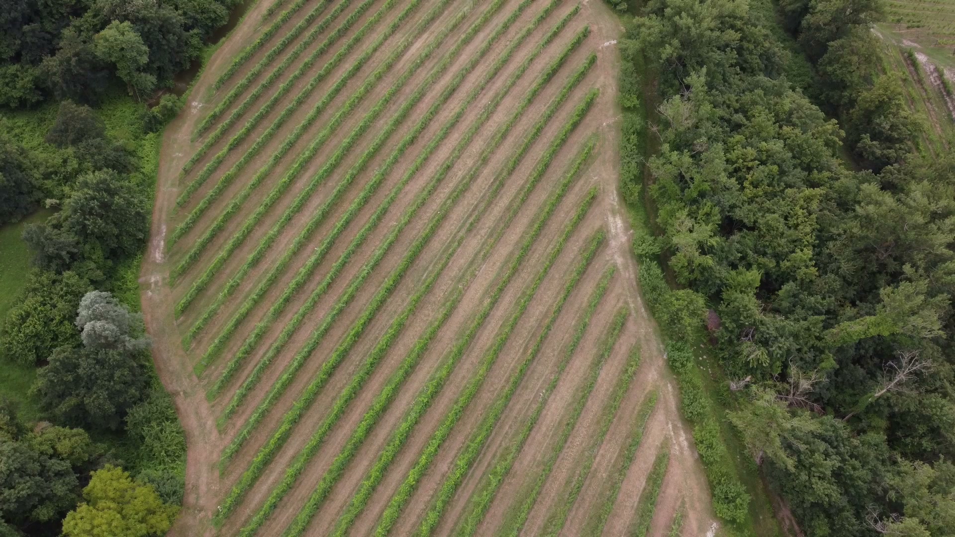 Il drone: lo sguardo tecnologico che trasforma la percezione del paesaggio