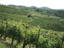 Le prealpi venete